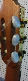Guitarra maple mate 5